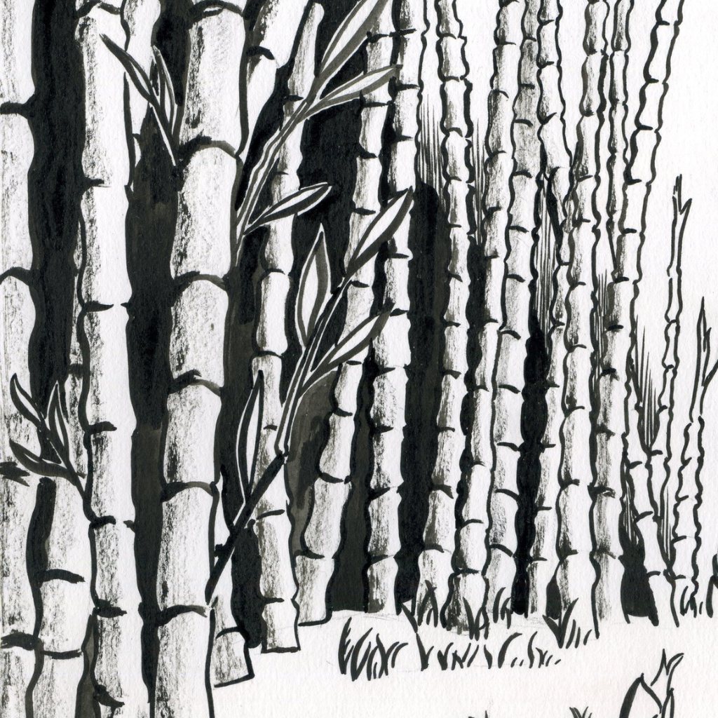 Dessin à l'encre de chine réalisé par Juliette