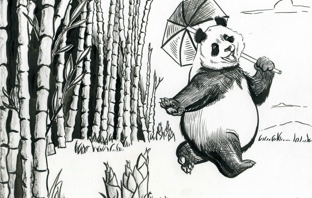 Illustration en noir et blanc d'un panda, dessiner à l'encre de chine_Studio Phantomime